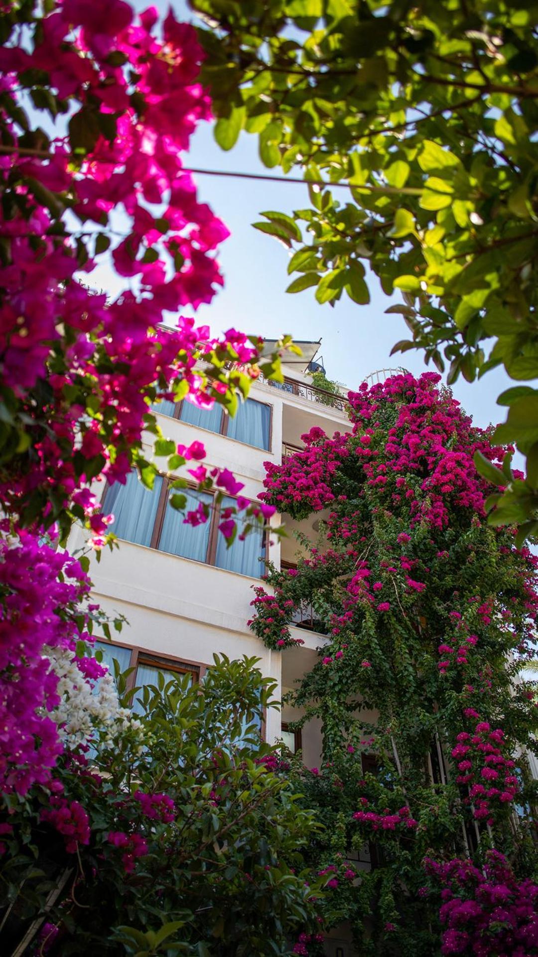 Patron Hotel Antalya Ngoại thất bức ảnh